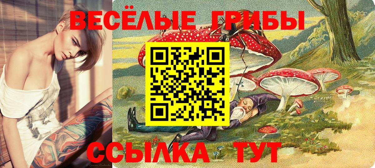 Славгород  Галлюциногенные грибы ЛСД  закладки  Вход с VPN 
