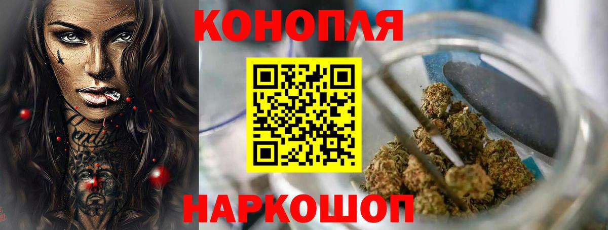 Шишки марихуана конопля  Каннабис планчик  Славгород  Бошки Шишки индика  Вход с VPN 